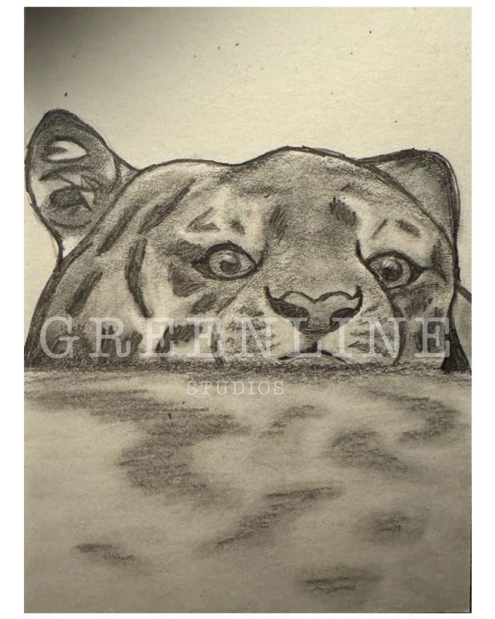 Swimming cub — by GreenLineStudios — Painting