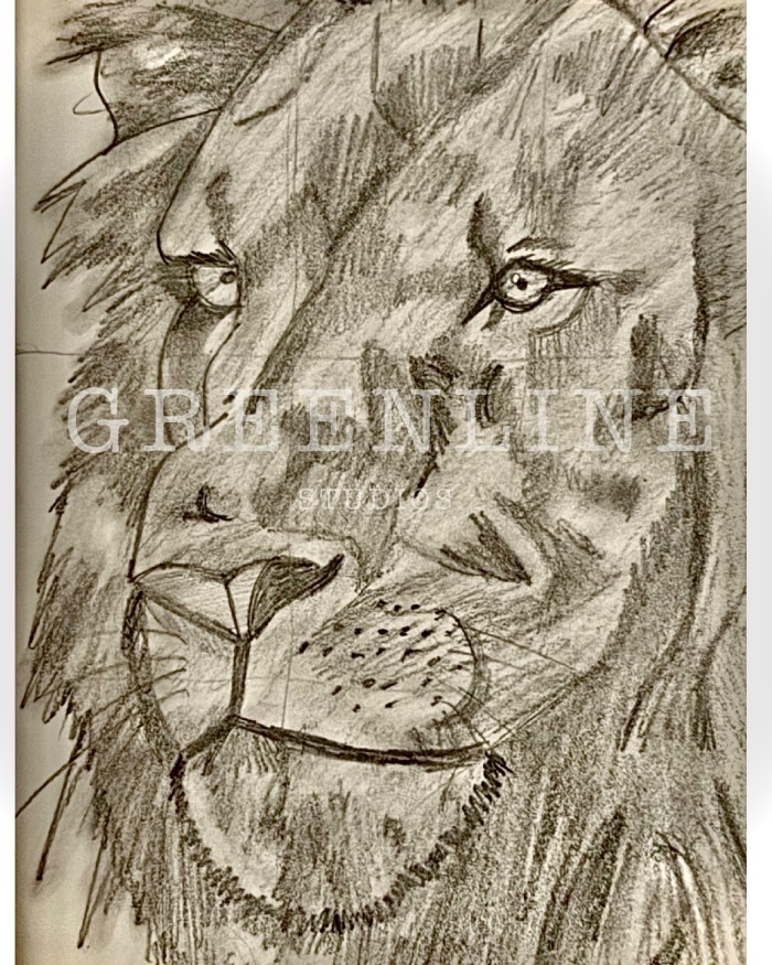 Stare of a lion — by GreenLineStudios — Print