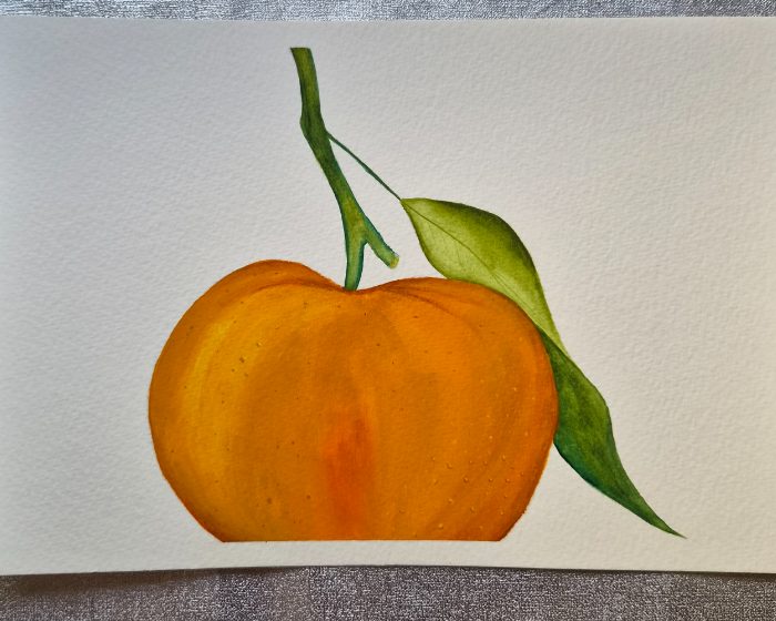 Juicy orange — by Shannon — Painting