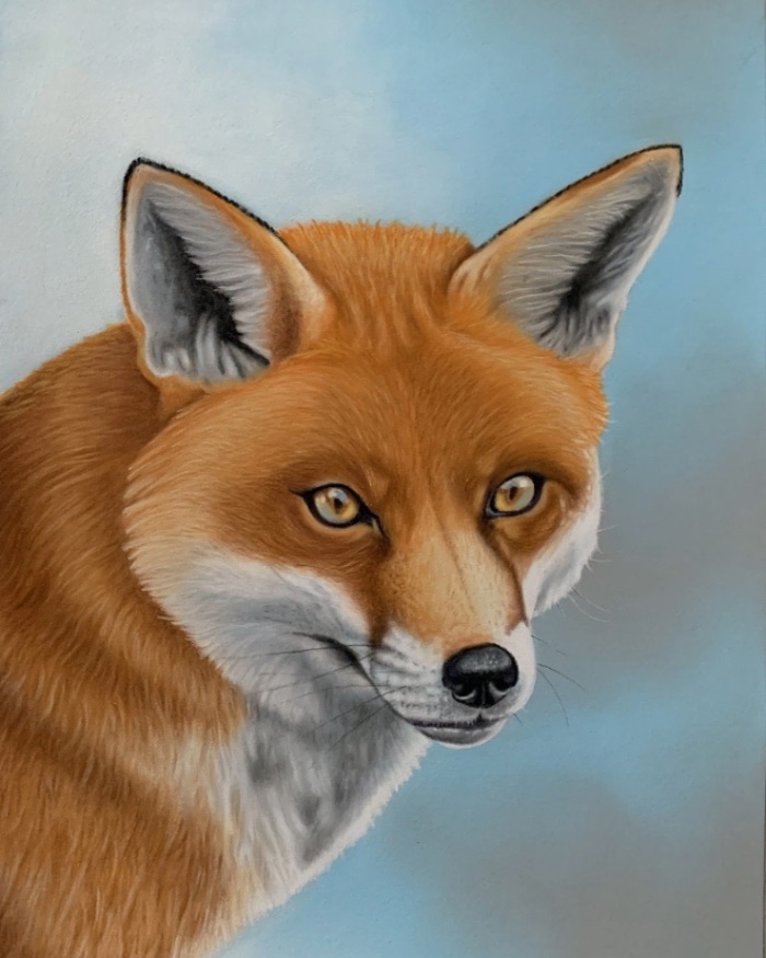 Mr Fox (A4 Framed) — by Rory Kendrick — Drawing