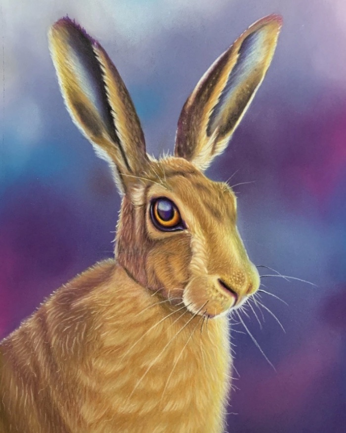 The Hare (A4 Framed) — by Rory Kendrick — Drawing