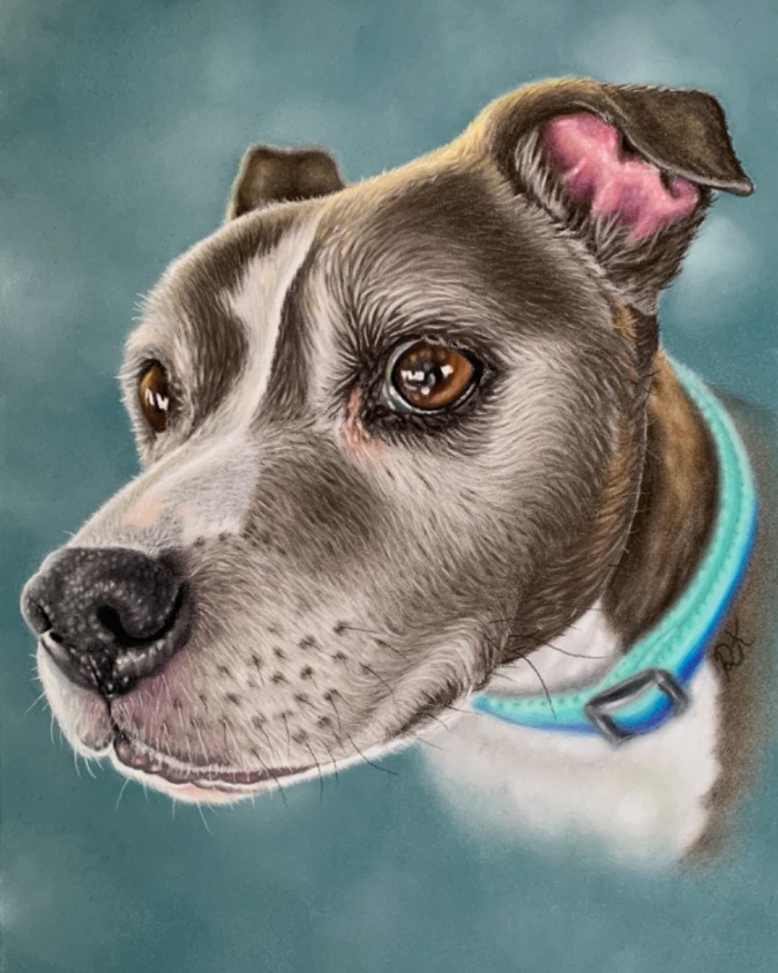 Pet Portraits - A3 — by Rory Kendrick — Drawing