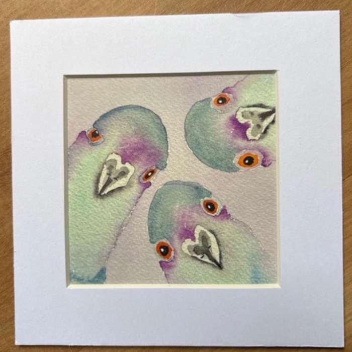 A Colourful Committee – High Quality Matte Pigeon Art Print, Mauve Bird Wall Art, 6 x 6” — by Joanne Cooke — Print